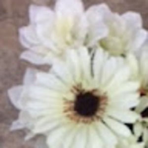 Meet your Posher, Max